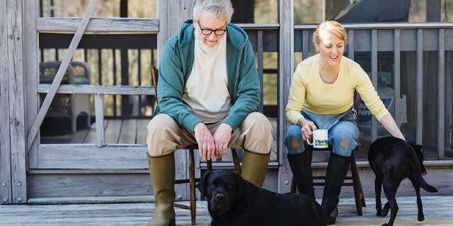 A photo of elderly couple with their dogs.